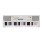 Yamaha EZ310 w/Lighted Keys