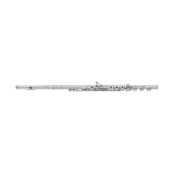 Amadeus AF680BO Flute Outfit